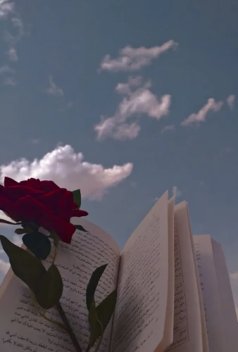 bookmark with flowers,romantic rose,way of the roses,frame rose,scent of roses,the sleeping rose,turn the page,landscape rose,rose bloom,with roses,read a book,red rose,paper rose,noble roses,rose petals,rose,rose frame,sky rose,book pages,blue rose