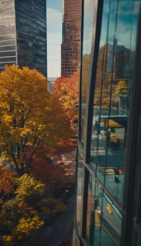 autumn frame,round autumn frame,tilt shift,city scape,one autumn afternoon,urban landscape,the trees in the fall,highline,fall foliage,autumn color,window view,fall landscape,autumn scenery,autumn background,fall,blur office background,manhattan,autumn day,newyork,late autumn,Photography,General,Cinematic