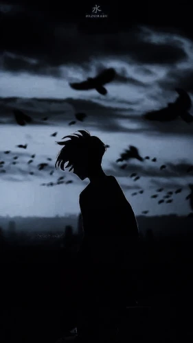 man silhouette,abstract silhouette,crow in silhouette,silhouette of man,silhouetted,woman silhouette,silhouette,the silhouette,eagle silhouette,mouse silhouette,art silhouette,silhouettes,silhouette against the sky,silhouette art,shinigami,desolate,halloween silhouettes,darkness,dark world,atmosphere