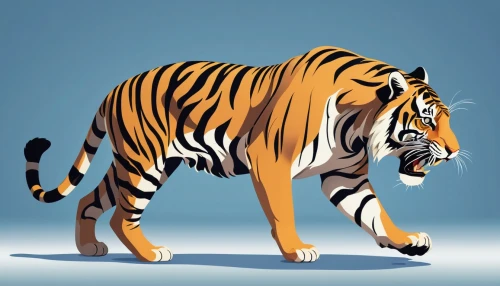 a tiger,bengal tiger,tiger,tiger png,type royal tiger,siberian tiger,asian tiger,bengal,tigers,sumatran tiger,royal tiger,chestnut tiger,tigerle,blue tiger,tiger head,tiger cat,bengalenuhu,bengal cat,vector illustration,toyger