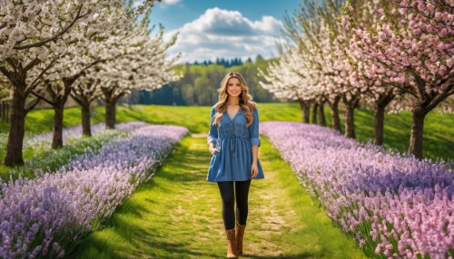 spring background,girl in flowers,springtime background,field of flowers,landscape background,almond tree,flower background,lavender fields,blooming field,meadow in pastel,almond trees,photoshop manipulation,girl with tree,lavender field,blossoming apple tree,creative background,3d background,image manipulation,photo manipulation,orchards,Photography,General,Realistic
