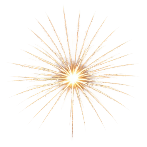 sunburst background,sunstar,gold spangle,spirography,3-fold sun,missing particle,sunburst,christ star,sea-urchin,fireworks art,spiny,revolving light,firework,fireworks rockets,magnetic field,apophysis,hawkbit,last particle,pyrotechnic,sea urchin,Photography,General,Realistic