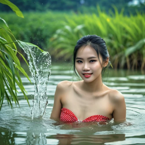 vietnamese woman,water nymph,miss vietnam,water lotus,vietnamese,vietnam's,vietnam,nymphaea,girl on the river,photoshoot with water,vietnam vnd,phuquy,red water lily,asian girl,viet nam,thermal spring,bia hơi,in water,pi mai,water flower,Photography,General,Realistic