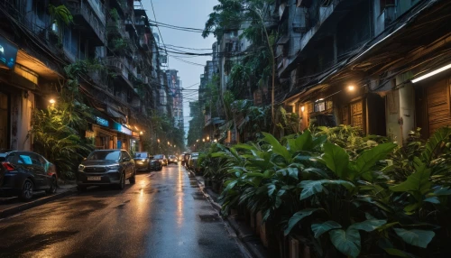 hanoi,saigon,ha noi,taipei,ho chi minh,vietnam,narrow street,alleyway,bangkok,vietnam vnd,alley,kowloon city,hong kong,vietnam's,taipei city,monsoon,rainy season,light rain,rainy,shanghai,Photography,General,Natural