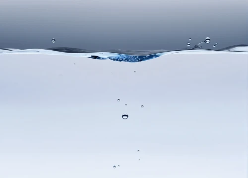 drop of water,water droplet,water drop,water drops,waterdrop,a drop of water,drops of water,water surface,droplets of water,water droplets,droplet,waterdrops,water,a drop,drops of milk,rainwater drops,water scape,water splash,distilled water,drops,Photography,General,Realistic