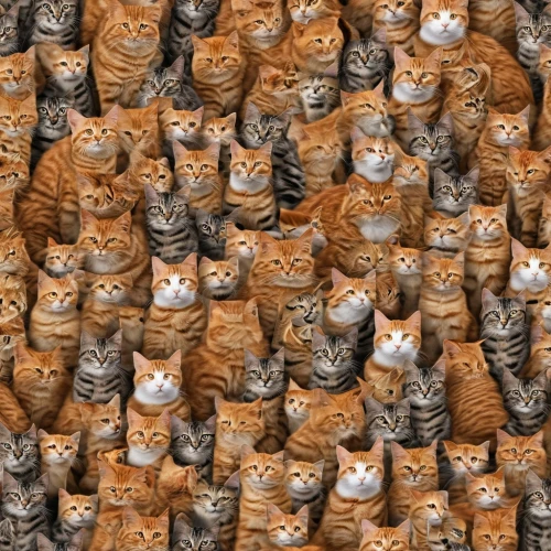 seamless pattern,cats on brick wall,ginger cat,seamless pattern repeat,cat supply,red tabby,toyger,cat image,cats,cat vector,felines,background pattern,ginger family,tabby cat,seamless texture,wall,vector pattern,digital background,breed cat,cattles,Photography,General,Realistic