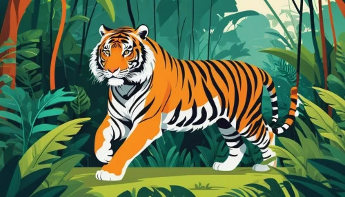 a tiger,bengal tiger,tiger,tiger png,asian tiger,tigers,bengal,sumatran,type royal tiger,sumatran tiger,bengalenuhu,sumatra,chestnut tiger,royal tiger,jungle,young tiger,tigerle,vector illustration,siberian tiger,endangered