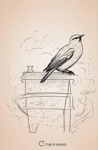 cd cover,the piano,corvus,album cover,the birds,birds of the sea,sloop-of-war,bird illustration,constellation swan,bird drawing,trumpet of the swan,corvidae,warble flies,hand-drawn illustration,lithograph,sparrows,pianist,poetry album,old world flycatcher,wagtail,Design Sketch,Design Sketch,Outline