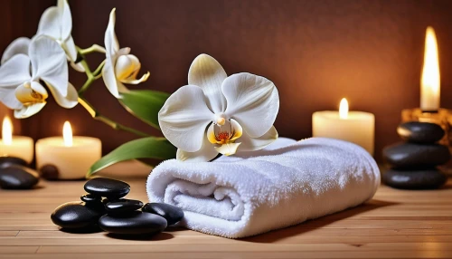 spa items,thai massage,relaxing massage,spa,massage therapy,therapies,health spa,massage therapist,reiki,naturopathy,day spa,singing bowl massage,beauty treatment,china massage therapy,personal care,massage,bach flower therapy,body care,home fragrance,carboxytherapy,Photography,General,Realistic