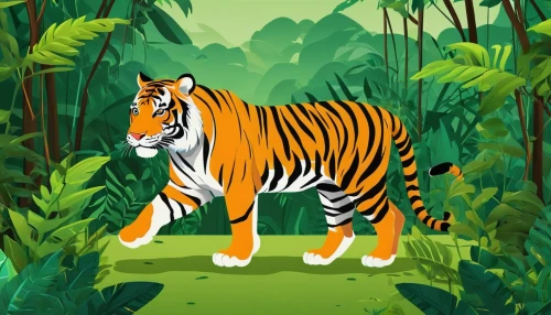 a tiger,sumatran tiger,asian tiger,bengal tiger,bengalenuhu,sumatran,bengal,tiger png,tiger,type royal tiger,chestnut tiger,tigers,tigerle,sumatra,sri lanka,felidae,jungle,kalimantan,siberian tiger,tropical animals