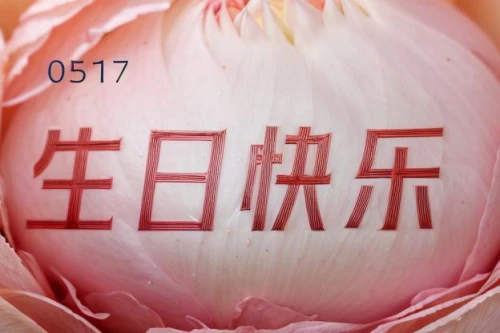 flower opening,chinese peony,paper flower background,flower of january,carnation flower,japanese floral background,chrysanthemum exhibition,flower background,zui quan,chinese rose marshmallow,peony,amaryllis belladonna,peony pink,pink peony,happy chinese new year,lotus ffflower,culture rose,cosmos flower,spring greeting,chrysanthemum background,Realistic,Flower,Rose