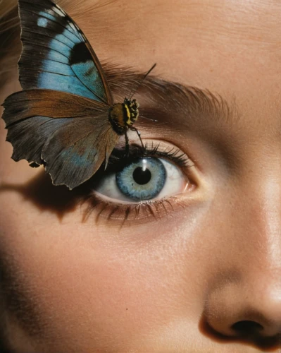 eye butterfly,morpho butterfly,ulysses butterfly,morpho,morpho peleides,blue morpho butterfly,blue morpho,eyed-hawk-moth,eyed hawk-moth,owl butterfly,blue butterfly,mazarine blue butterfly,peacock eye,lepidopterist,children's eyes,cupido (butterfly),photoshoot butterfly portrait,promethea silkmoth,blue butterfly background,butterfly effect,Photography,Black and white photography,Black and White Photography 12