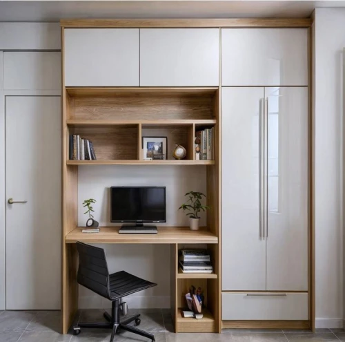walk-in closet,storage cabinet,room divider,cabinetry,armoire,cupboard,bookcase,shelving,secretary desk,one-room,modern office,tv cabinet,danish furniture,modern room,sliding door,bookshelves,search interior solutions,cabinet,contemporary decor,sideboard