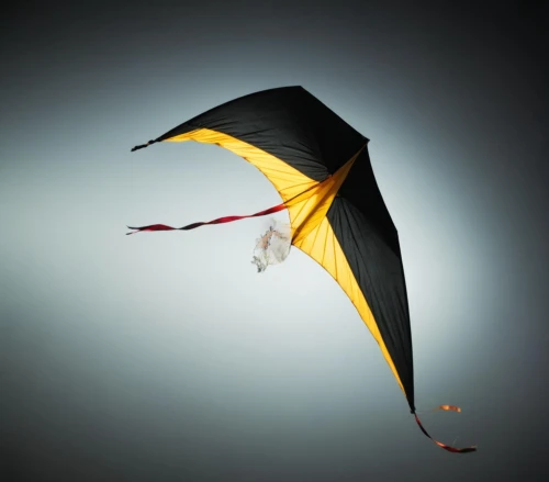 sport kite,aerial view umbrella,cocktail umbrella,overhead umbrella,paragliding sailing yellow green,wing paraglider inflated,bi-place paraglider,sailing paragliding inflated wind,paraglider sails,kite sports,figure of paragliding,inflated kite in the wind,sails of paragliders,paraglider wing,paraglider takes to the skies,japanese umbrella,cocoon of paragliding,powered hang glider,summer umbrella,paraglider inflation of sailing