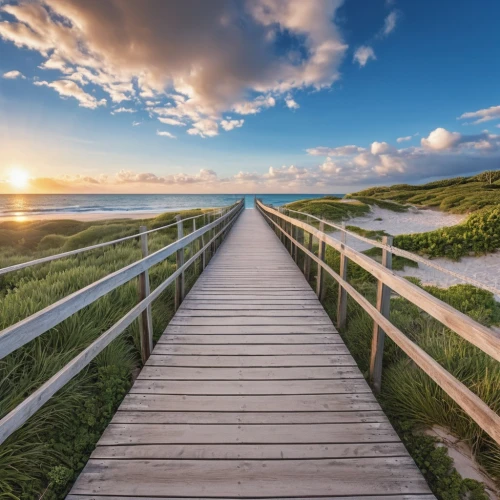 cape cod,sylt,wooden bridge,martha's vineyard,boardwalk,amrum,wooden pier,walkway,marthas vineyard,the road to the sea,baltic sea,block island,pathway,wooden path,board walk,the baltic sea,doñana national park,stairway to heaven,beach landscape,aaa,Photography,General,Realistic