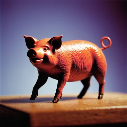 piggybank,pig,wool pig,domestic pig,piglet,pot-bellied pig,mini pig,piggy bank,suckling pig,animal figure,porker,swine,kawaii pig,wind-up toy,boar,the pink panter,piggy,wild boar,pencil sharpener,whimsical animals,Unique,3D,Toy