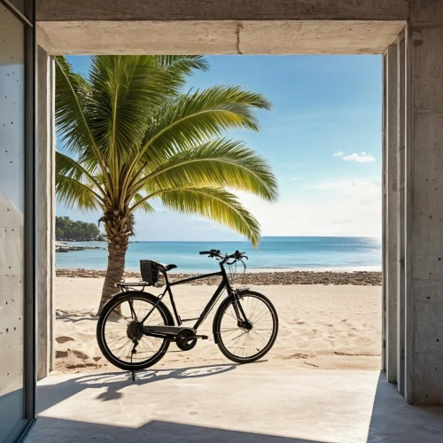 parked bike,electric bicycle,bicycle,recumbent bicycle,bicycle ride,beach hut,bicycle frame,indoor cycling,bicycles,stationary bicycle,cyclist,hybrid bicycle,bicycle path,bicycling,balance bicycle,cycle sport,bicycles--equipment and supplies,road bicycle,biking,bicycle accessory