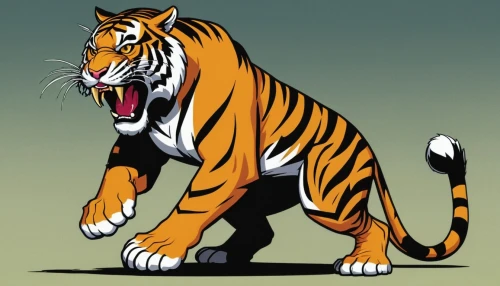 bengal tiger,a tiger,tiger png,tiger,bengal,asian tiger,type royal tiger,bengalenuhu,sumatran tiger,tigers,tigerle,siberian tiger,chestnut tiger,royal tiger,tiger cat,felidae,young tiger,toyger,sumatran,tiger head