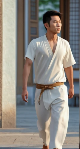 japanese martial arts,martial arts uniform,taijiquan,judo,kenjutsu,iaijutsu,shaolin kung fu,taekkyeon,baguazhang,wushu,shorinji kempo,battōjutsu,aikido,haidong gumdo,martial arts,sōjutsu,karate,shidokan,jujitsu,jujutsu,Photography,General,Realistic