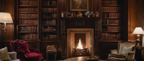 fireplace,christmas fireplace,fireplaces,reading room,fire place,bookshelves,bookcase,log fire,downton abbey,gleneagles hotel,sitting room,warm and cozy,book antique,wade rooms,christmas room,relaxing reading,the books,fireside,athenaeum,bookshelf,Photography,General,Natural