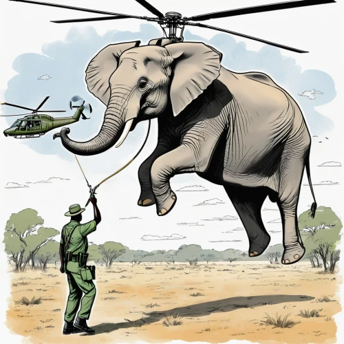 elephant ride,elephant line art,pachyderm,elephant camp,military helicopter,helicopter,trophy hunting,cartoon elephants,circus elephant,elephant,elephantine,safari,african bush elephant,elephant toy,elephants,with safari antenna,helicopter pilot,elephant kid,drone operator,air rescue,Unique,Design,Infographics