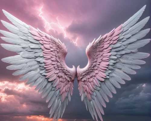angel wings,angel wing,winged heart,archangel,dove of peace,guardian angel,angelology,angel,business angel,angels,the archangel,divine healing energy,doves of peace,winged,wings,angelic,crying angel,love angel,fallen angel,angel statue,Photography,General,Fantasy