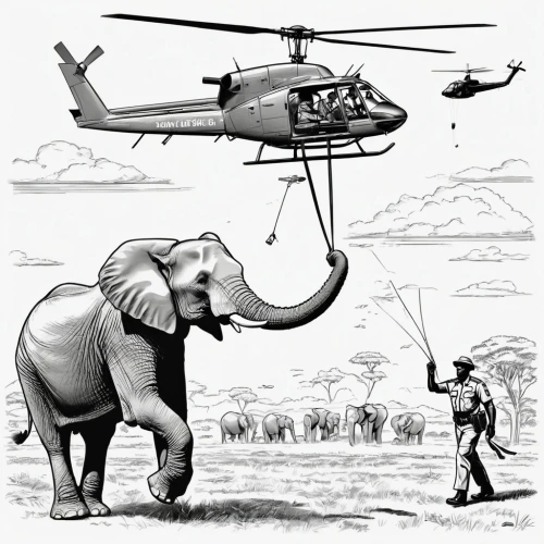 elephant line art,cartoon elephants,elephant ride,trophy hunting,safari,circus elephant,elephant camp,pachyderm,elephants and mammoths,elephants,elephantine,elephant herd,serengeti,elephant,helicopter,elephant kid,african elephant,safaris,african elephants,african bush elephant,Unique,Design,Infographics