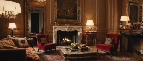 royal interior,sitting room,interior decor,fontainebleau,ornate room,fireplaces,napoleon iii style,fire place,chateau margaux,christmas room,livingroom,fireplace,chaise lounge,interiors,home interior,cognac,great room,interior decoration,danish room,boutique hotel,Photography,General,Natural