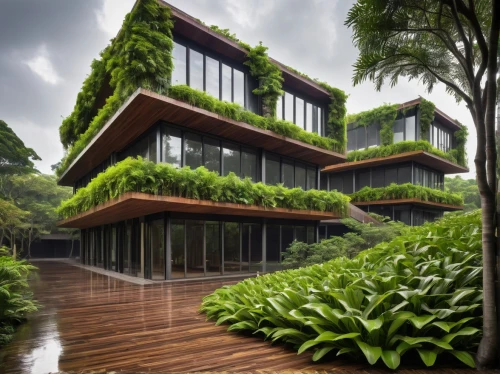 eco-construction,eco hotel,landscape designers sydney,green living,landscape design sydney,garden design sydney,house in the forest,cubic house,cube stilt houses,singapore,timber house,valdivian temperate rain forest,modern architecture,kangkong,futuristic architecture,greenhouse effect,garden elevation,tropical house,cube house,ecological sustainable development,Photography,Documentary Photography,Documentary Photography 36
