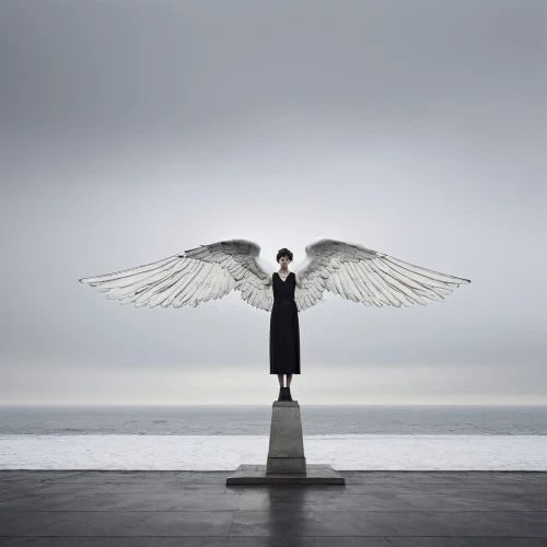 business angel,angel wing,conceptual photography,angelology,angel wings,angel statue,stone angel,angel figure,the archangel,the statue of the angel,winged,the angel with the veronica veil,the angel with the cross,dove of peace,wings,black angel,weeping angel,mourning swan,angel of death,angel girl,Photography,Documentary Photography,Documentary Photography 04