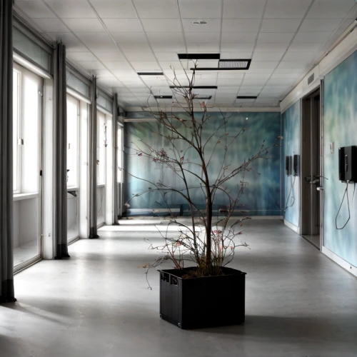 lobby,contemporary decor,interior decor,art gallery,meeting room,entrance hall,hall,blue room,modern decor,hallway,athens art school,hallway space,interior decoration,children's interior,therapy room,therapy center,conference room,factory hall,gallery,empty hall