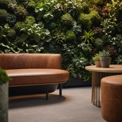 intensely green hornbeam wallpaper,garden design sydney,landscape design sydney,landscape designers sydney,flower wall en,corten steel,ficus,seating area,green plants,smoking area,potted plants,exotic plants,chaise lounge,hanging plants,plants,danish furniture,house plants,seating furniture,greenforest,modern decor,Photography,General,Cinematic