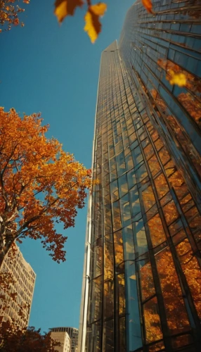 lotte world tower,1 wtc,1wtc,shard,skycraper,shard of glass,sky tree,wtc,skyscapers,one world trade center,skyscraper,the skyscraper,world trade center,skyscrapers,tall buildings,autumn frame,high-rise,highrise,glass building,pc tower,Photography,General,Cinematic