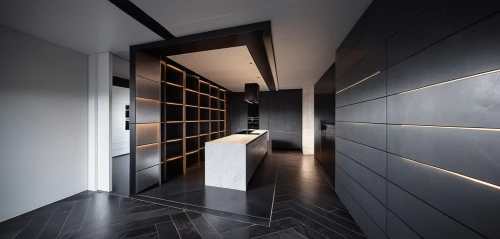 walk-in closet,hallway space,dark cabinetry,under-cabinet lighting,dark cabinets,pantry,room divider,metallic door,interior modern design,modern minimalist bathroom,search interior solutions,recessed,hallway,cabinetry,contemporary decor,storage cabinet,cupboard,interior design,wine cellar,modern decor,Photography,General,Realistic