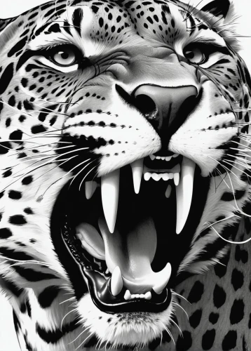 roaring,roar,to roar,tiger png,leopard head,leopard,jaguar,big cats,tiger head,wild cat,big cat,panthera leo,tiger,head of panther,snarling,tigers,tigerle,panther,wild animal,a tiger,Illustration,Black and White,Black and White 08