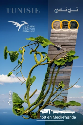 titane design,cd cover,twinjet,tree house,tallest hotel dubai,tropical house,tunisia,tree house hotel,tree signboard,cluster fig tree,treehouse,tree top,trumpet tree,hurghada,orange climbing plant,olive tree,tunis,fuselage,thuja,arabic background,Photography,General,Realistic