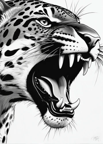 jaguar,roaring,panther,leopard,leopard head,roar,panthera leo,wild cat,head of panther,to roar,tiger png,felidae,line art animal,big cat,african leopard,cheetah,big cats,canis panther,ocelot,adobe illustrator,Illustration,Black and White,Black and White 08