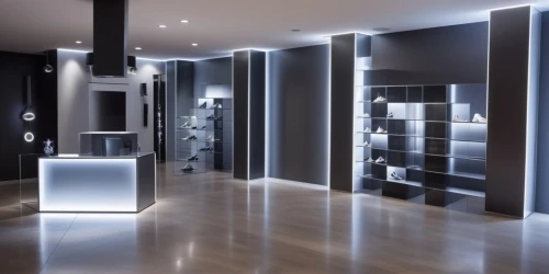 walk-in closet,search interior solutions,dark cabinetry,under-cabinet lighting,jewelry store,cosmetics counter,beauty room,showroom,security lighting,hallway space,interior modern design,halogen spotlights,shoe store,vitrine,boutique,music store,shoe cabinet,kitchen shop,interior design,pantry,Photography,General,Realistic