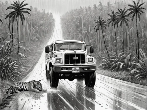 jeep cj,land rover series,jeep wagoneer,jeep,jeep gladiator,land-rover,land rover,jeeps,mercedes-benz g-class,land rover defender,road cruiser,g-class,jeep wrangler,snatch land rover,alligator alley,classic car and palm trees,cj7,off-roading,off road,off-road,Illustration,Black and White,Black and White 22