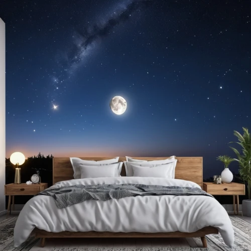 moon and star background,stars and moon,duvet cover,moon and star,astronomy,sleeping room,the moon and the stars,night sky,the night sky,sky space concept,moon phase,astronomical,stargazing,starry sky,bedroom window,star chart,sky apartment,astronomer,space art,wall sticker,Photography,General,Realistic