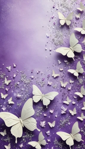 butterfly background,purple wallpaper,butterfly lilac,blue butterfly background,petals purple,purple rain,pale purple,purple-white,white with purple,white purple,the purple-and-white,vintage lavender background,light purple,spring leaf background,purple background,purpleabstract,purple pageantry winds,raindrops,purple,isolated butterfly,Conceptual Art,Fantasy,Fantasy 03