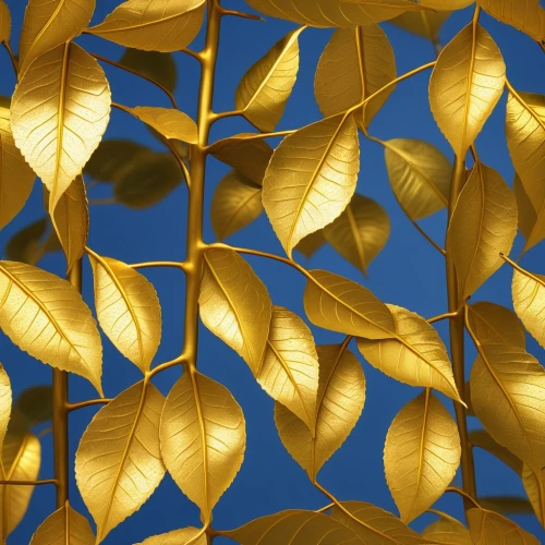 gold leaves,golden leaf,yellow leaves,gold foil laurel,yellow leaf,leaf background,golden trumpet trees,beech leaves,tree leaves,golden trumpet tree,gold foil shapes,leaves frame,gold filigree,autumn gold,spring leaf background,autumn leaf paper,leaves in the autumn,dried leaves,golden autumn,ginkgo leaf,Photography,General,Realistic