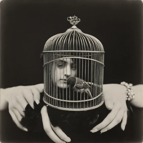 cage bird,bird cage,queen cage,birdcage,cage,fool cage,prisoner,captivity,arbitrary confinement,conceptual photography,joan crawford-hollywood,mina bird,canary,surrealism,ornithology,panopticon,stieglitz,be free,vintage woman,society finch,Photography,Black and white photography,Black and White Photography 15