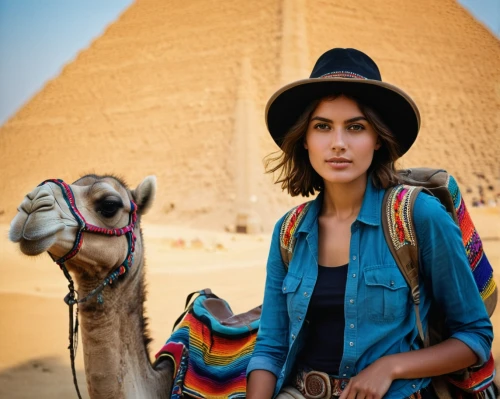 khufu,egypt,giza,dromedaries,egyptology,egyptian,ancient egyptian girl,dahshur,egyptians,travel woman,nomadic people,felucca,jordan tours,dromedary,camelid,camel,middle eastern,ancient egypt,tutankhamun,pharaonic,Photography,General,Natural