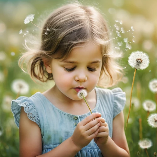 girl picking flowers,girl in flowers,picking flowers,beautiful girl with flowers,flower background,flower girl,little girl in wind,little flower,dandelions,dandelion flying,dandelion background,dandelion flower,holding flowers,innocence,dandelion,flower painting,pollinating,daisies,children's background,daisy flowers,Photography,General,Natural