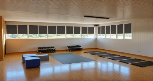 fitness room,gymnastics room,tatami,fitness center,japanese-style room,recreation room,vipassana,yoga mats,leisure facility,therapy room,yoga class,shidokan,qi gong,daitō-ryū aiki-jūjutsu,surya namaste,yoga mat,therapy center,rental studio,modern room,conference room,Photography,General,Realistic