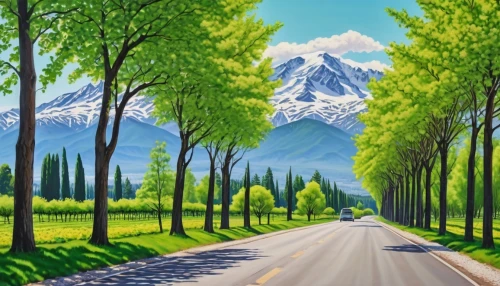 mountain road,landscape background,mountain scene,forest road,mountain highway,mount scenery,mountainous landscape,mountain landscape,tree lined lane,tree-lined avenue,aaa,salt meadow landscape,cartoon video game background,rural landscape,background view nature,maple road,alpine drive,country road,japanese mountains,mountains,Photography,General,Realistic