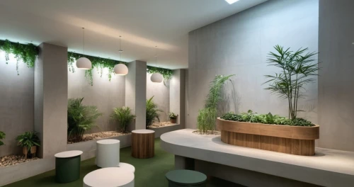 bamboo plants,garden design sydney,shower bar,luxury bathroom,landscape design sydney,landscape designers sydney,rest room,house plants,green plants,modern minimalist bathroom,eco hotel,interior modern design,potted plants,interior design,exotic plants,washroom,hanging plants,green living,bamboo curtain,modern decor,Photography,General,Realistic