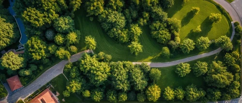 aerial landscape,golf landscape,aerial photography,winding roads,winding road,aerial shot,aerial view umbrella,tree lined,golf course background,green landscape,golf resort,golf course,bird's eye view,nürburgring,overhead shot,green trees,eastern switzerland,golfcourse,from the air,golf lawn,Photography,General,Natural