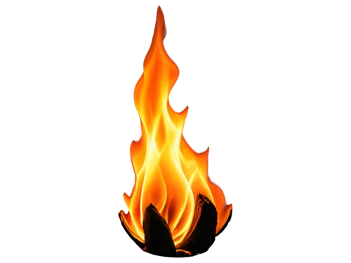 fire logo,fire background,fire ring,fire screen,fire in fireplace,gas flame,the conflagration,firespin,fire-extinguishing system,burnout fire,conflagration,burned firewood,fire wood,fire beetle,inflammable,gas burner,fires,sweden fire,fire extinguishing,twitch logo,Photography,General,Realistic